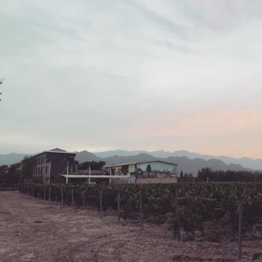 Kanaan Winery, `Pretty Pony` Ningxia Cabernet Sauvignon Merlot - Latitude Wine & Liquor Merchant