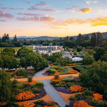 Kendall - Jackson Vinter's Reserve Zinfandel - Latitude Wine & Liquor Merchant