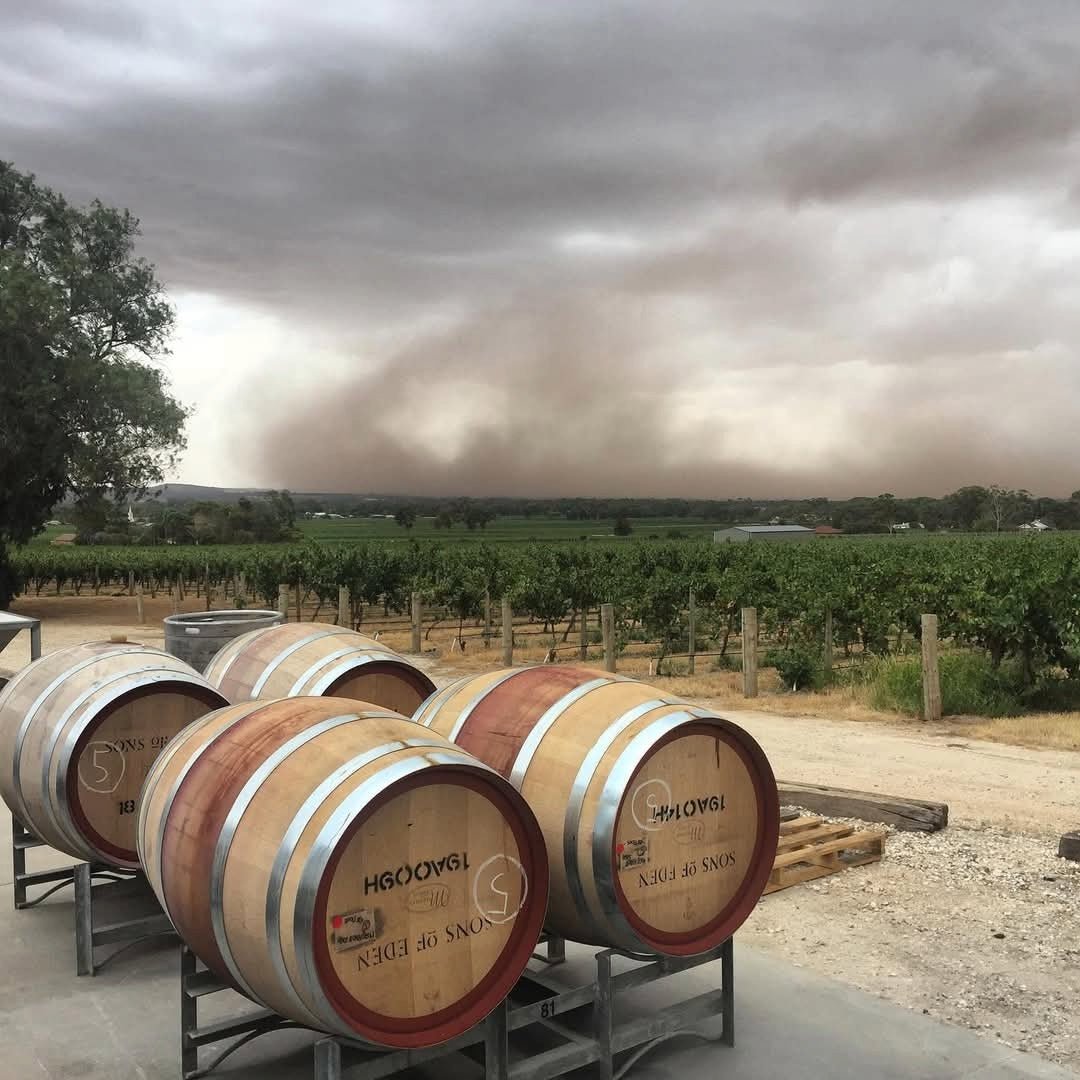 Sons of Eden Kennedy Grenache Shiraz Mataro