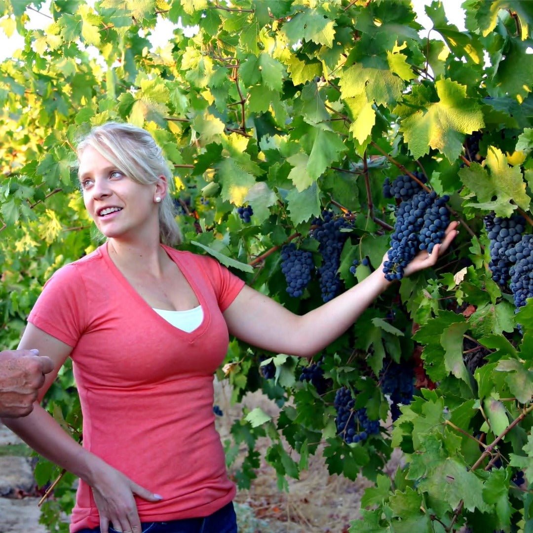 Klinker Brick Brickmason Lodi Blend - Latitude Wine & Liquor Merchant
