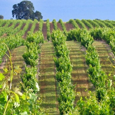 Klinker Brick Brickmason Lodi Blend - Latitude Wine & Liquor Merchant