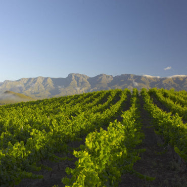 Klippenkop Syrah - Latitude Wine & Liquor Merchant