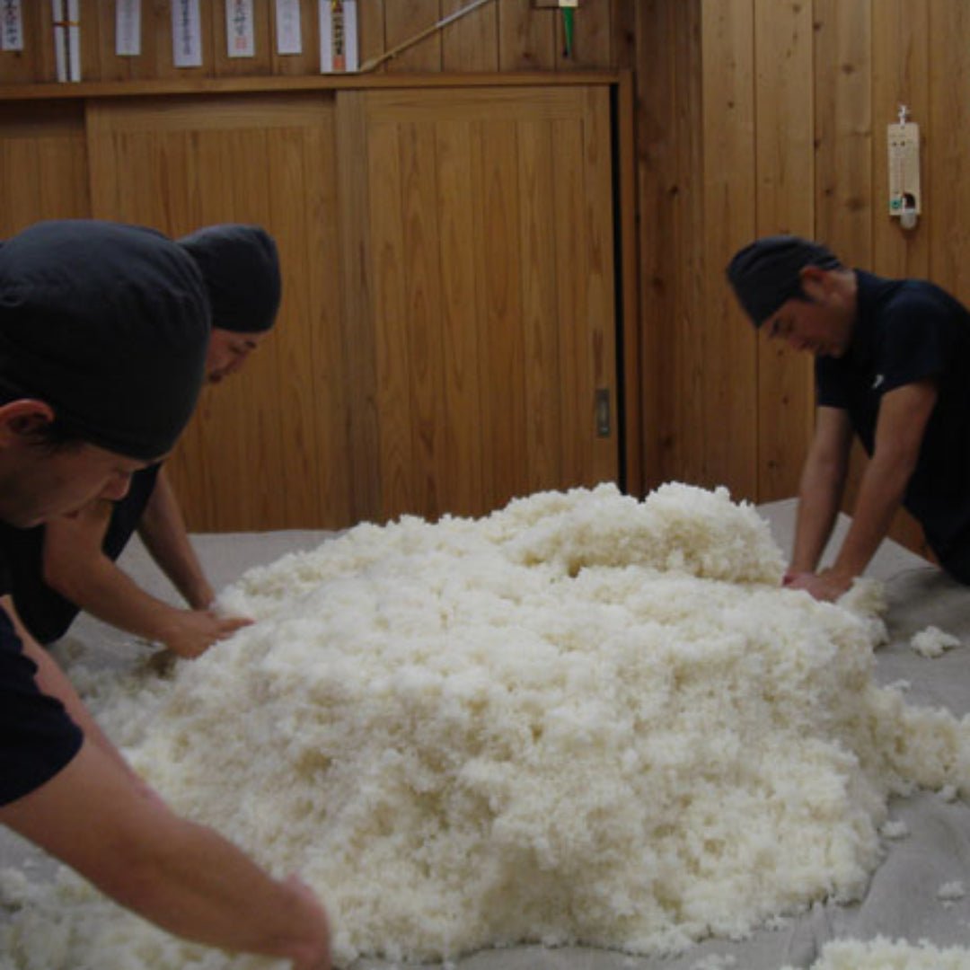 Konishi Shuzo Gold Daiginjo - Latitude Wine & Liquor Merchant