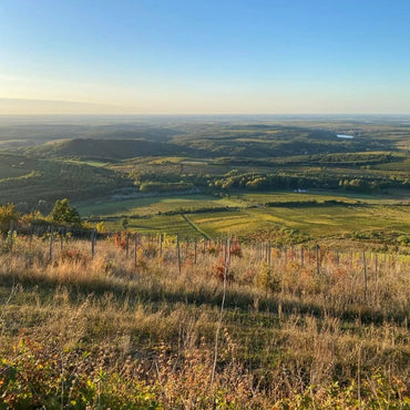 Kovacs Nimrod Battonage Chardonnay - Latitude Wine & Liquor Merchant