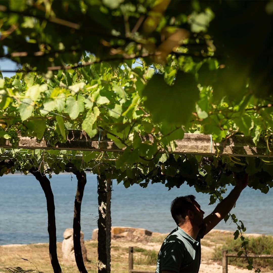 La Huida Albarino - Latitude Wine & Liquor Merchant