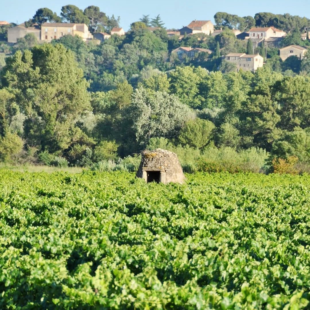 La Vicomte Authentique Cabernet Sauvignon - Latitude Wine & Liquor Merchant