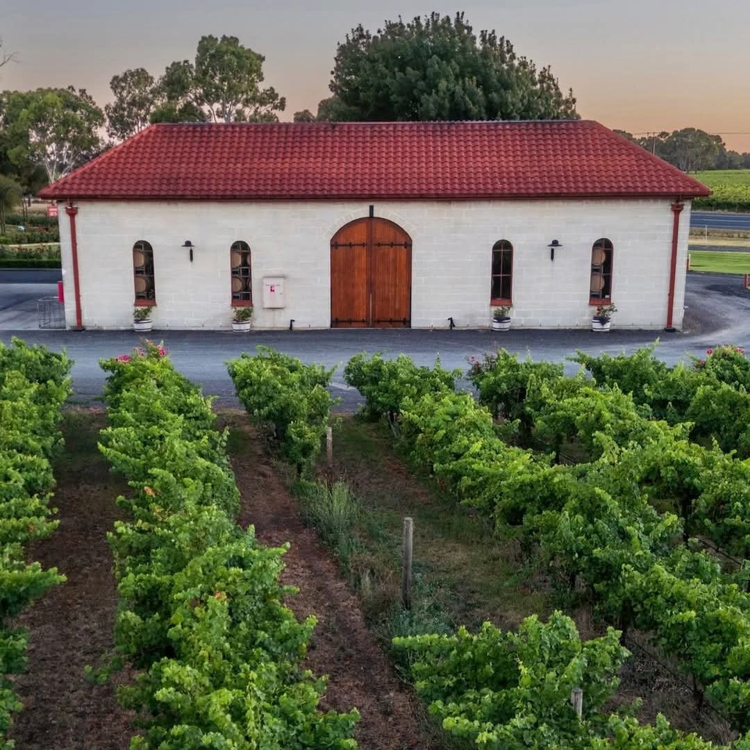 Leconfield Coonawarra Petit Verdot - Latitude Wine & Liquor Merchant