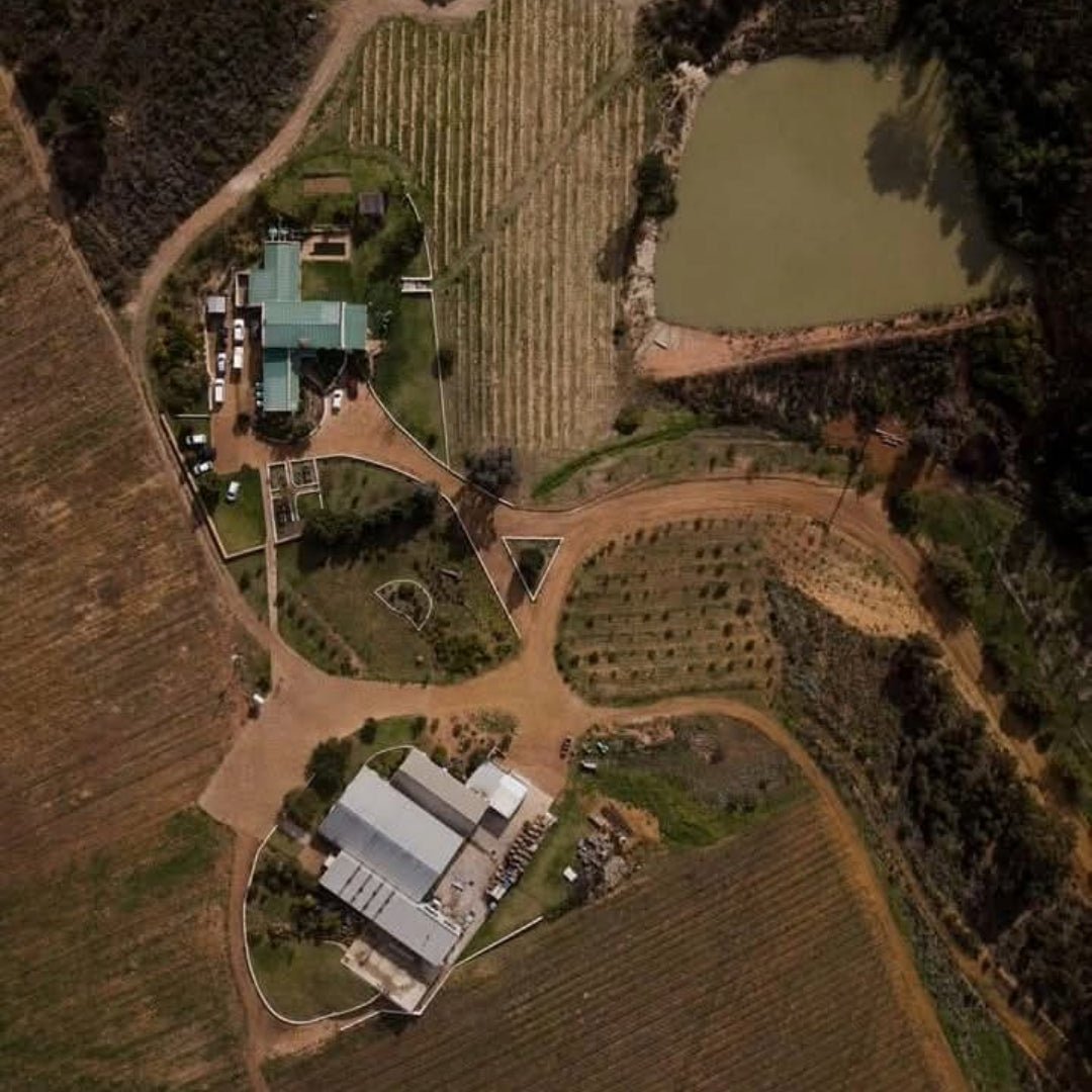 Luddite 'The Saboteur' Red Blend - Latitude Wine & Liquor Merchant