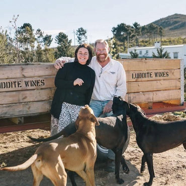 Luddite 'The Saboteur' Red Blend - Latitude Wine & Liquor Merchant