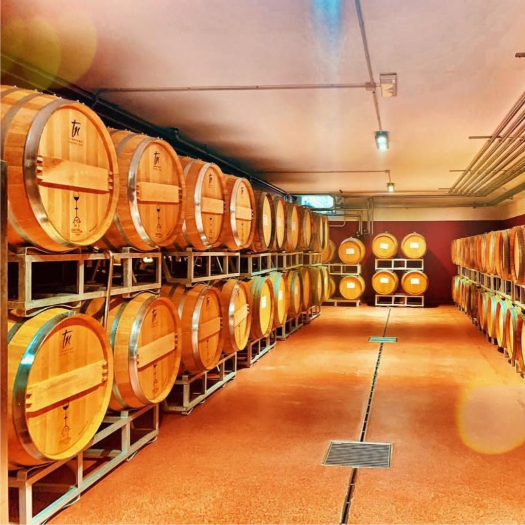 Maia Novapalma Pinot Grigio Bio