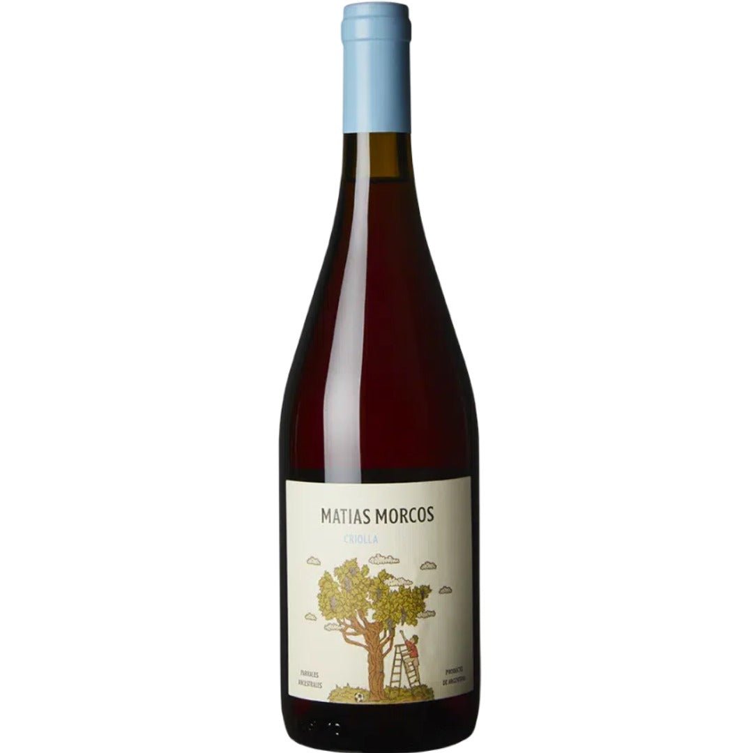 Matias Morcos Criolla Chica - Latitude Wine & Liquor Merchant