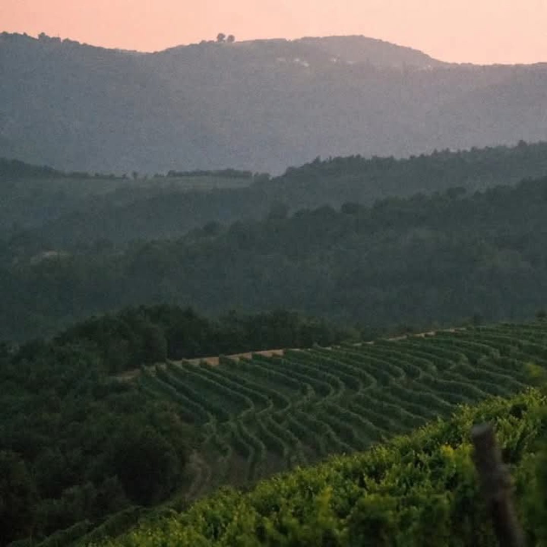 Matosevic Grimalda Red Blend