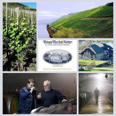 Max Ferdinand Richter Graacher Himmelreich Riesling Auslese - Latitude Wine & Liquor Merchant
