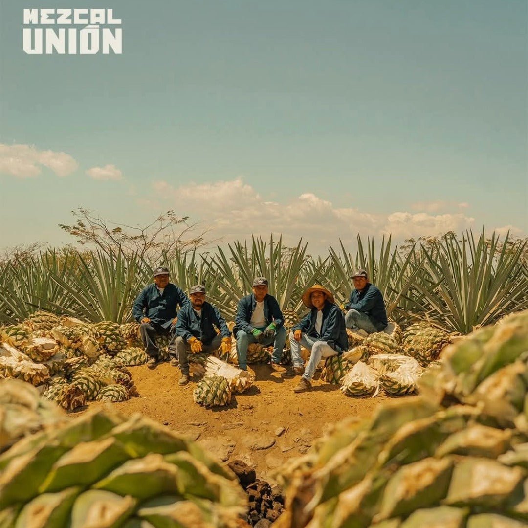 Mezcal Union Uno Joven - Latitude Wine & Liquor Merchant