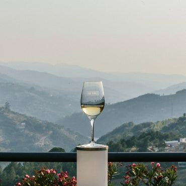 Monologo Arinto Organic Vinho Verde - Latitude Wine & Liquor Merchant