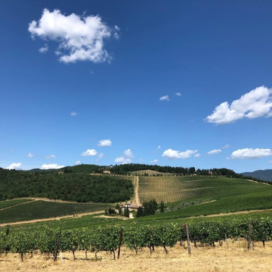 Monte Antico Toscana - Latitude Wine & Liquor Merchant