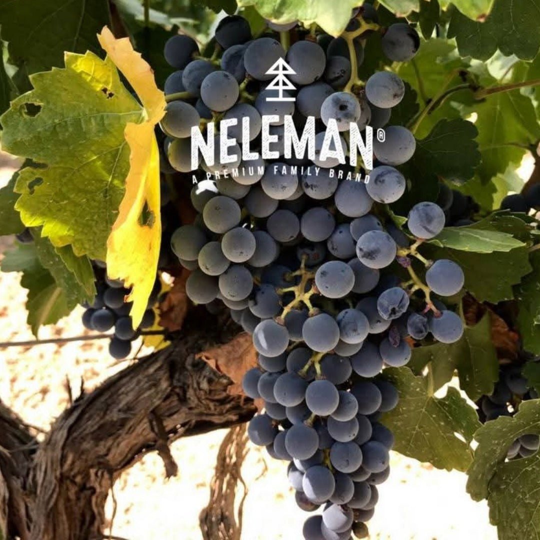 Nelemans Just Fucking Good Wine Rose - Latitude Wine & Liquor Merchant