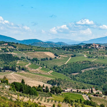 Nittardi Ad Astra Maremma Toscana - Latitude Wine & Liquor Merchant