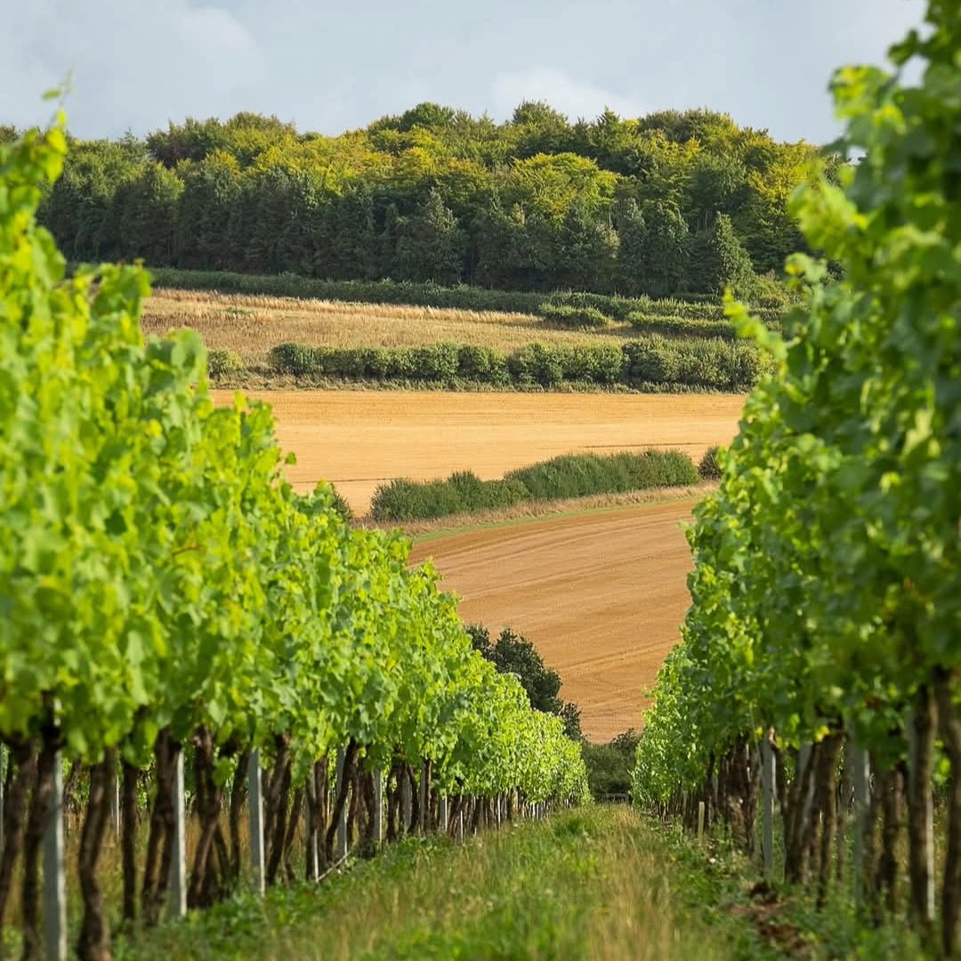 Nyetimber Classic Cuvee - Latitude Wine & Liquor Merchant