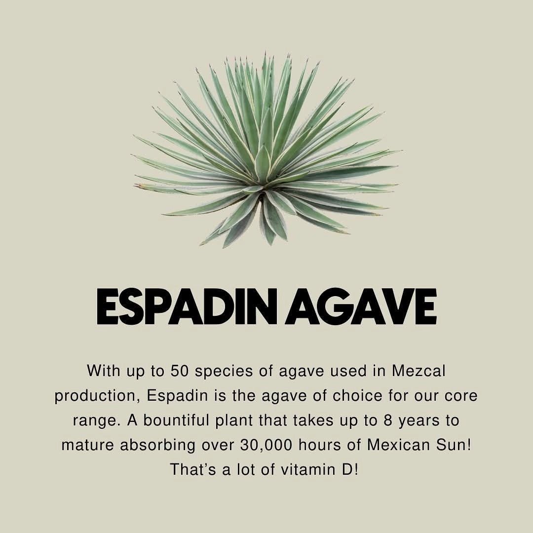 Ojo De Dios Mezcal Hibiscus - Latitude Wine & Liquor Merchant