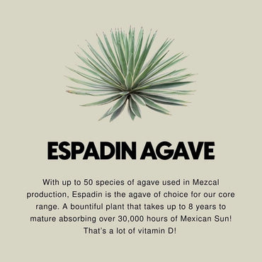 Ojo De Dios Mezcal Hibiscus - Latitude Wine & Liquor Merchant