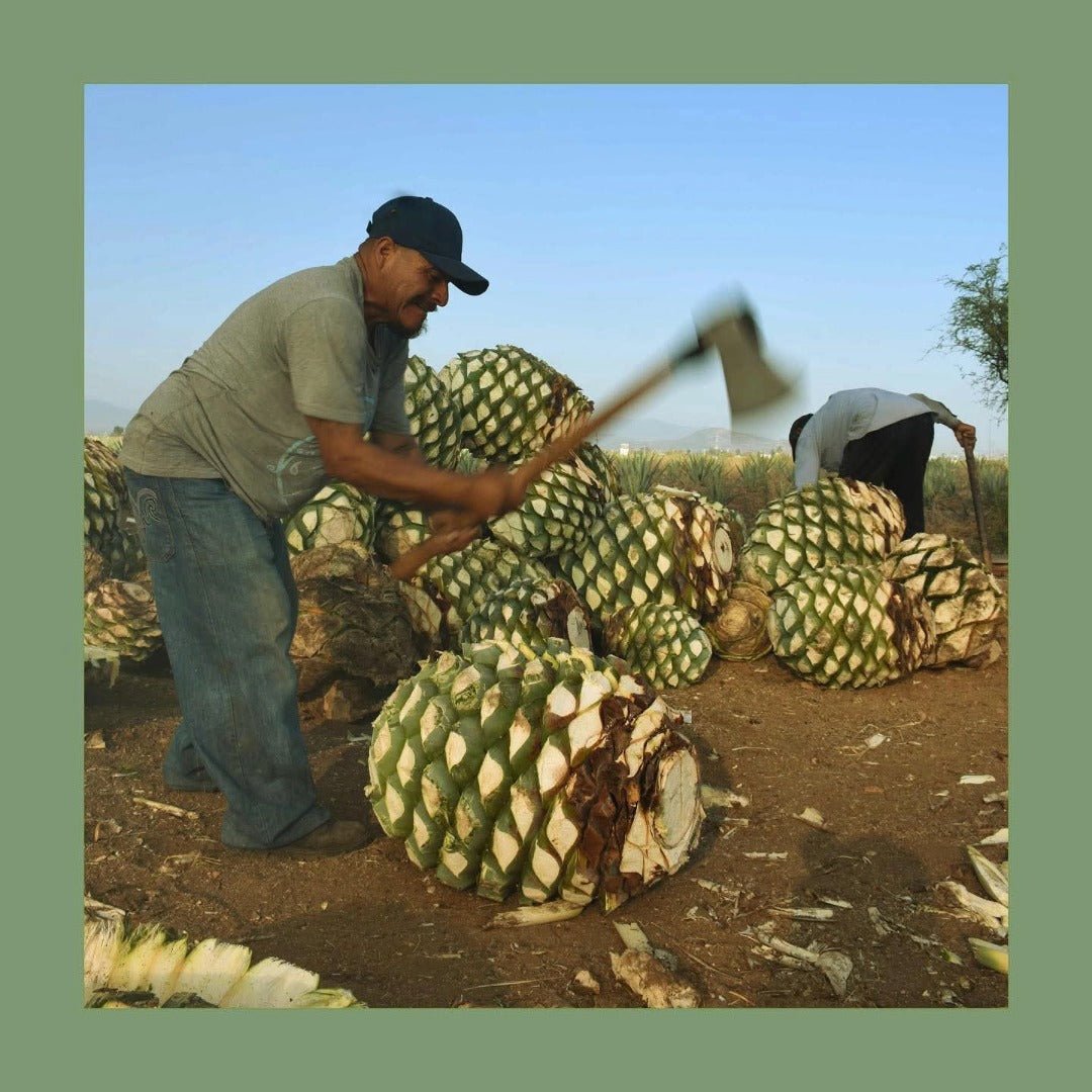 Ojo De Dios Mezcal Hibiscus - Latitude Wine & Liquor Merchant