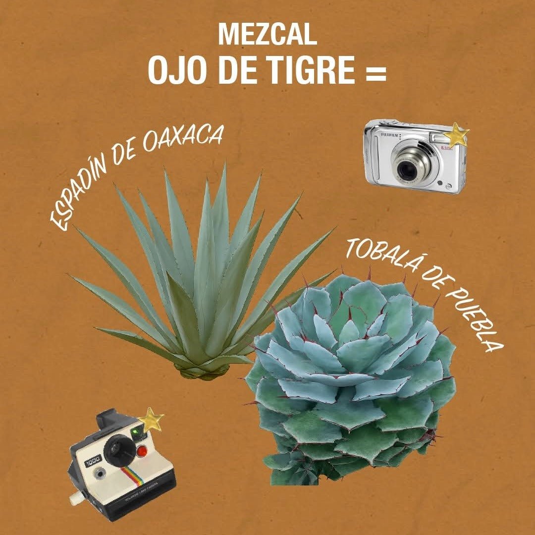 Ojo De Tigre Mezcal Reposado