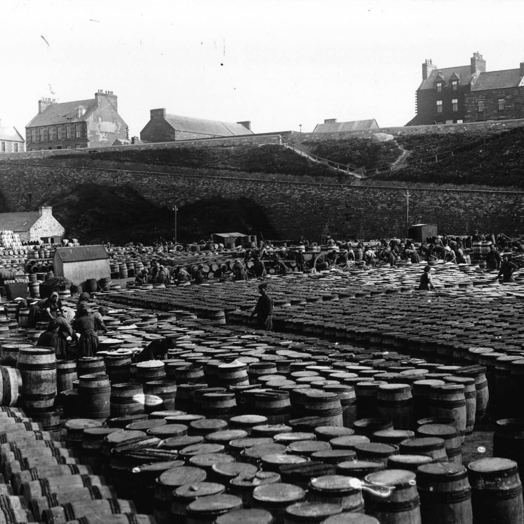 Old Pulteney Port Cask Finish - Latitude Wine & Liquor Merchant