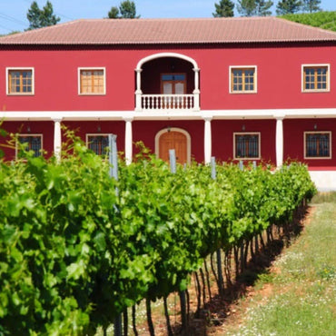 Oncedo Ribas Del Cua Bierzo - Latitude Wine & Liquor Merchant