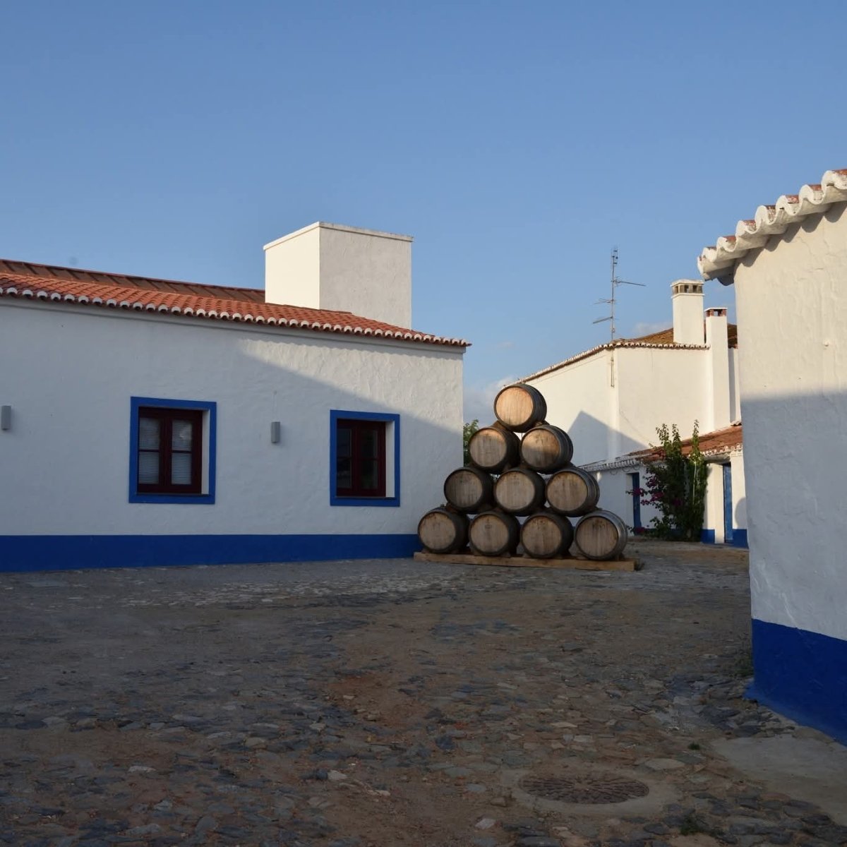 Herdade Paco Do Conde Alicante Bouschet