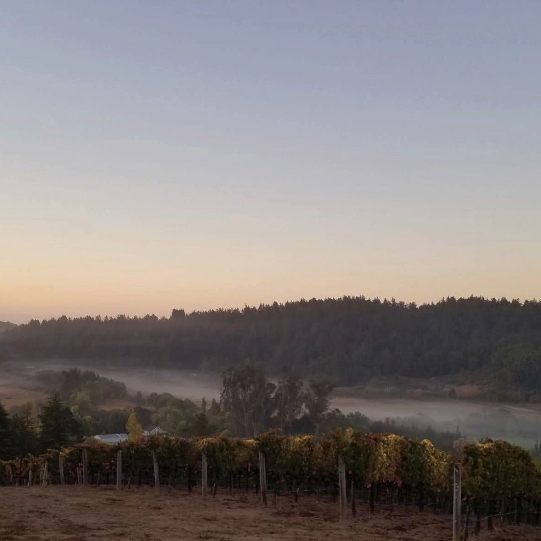 Paul Hobbs Napa Valley Cabernet Sauvignon - Latitude Wine & Liquor Merchant