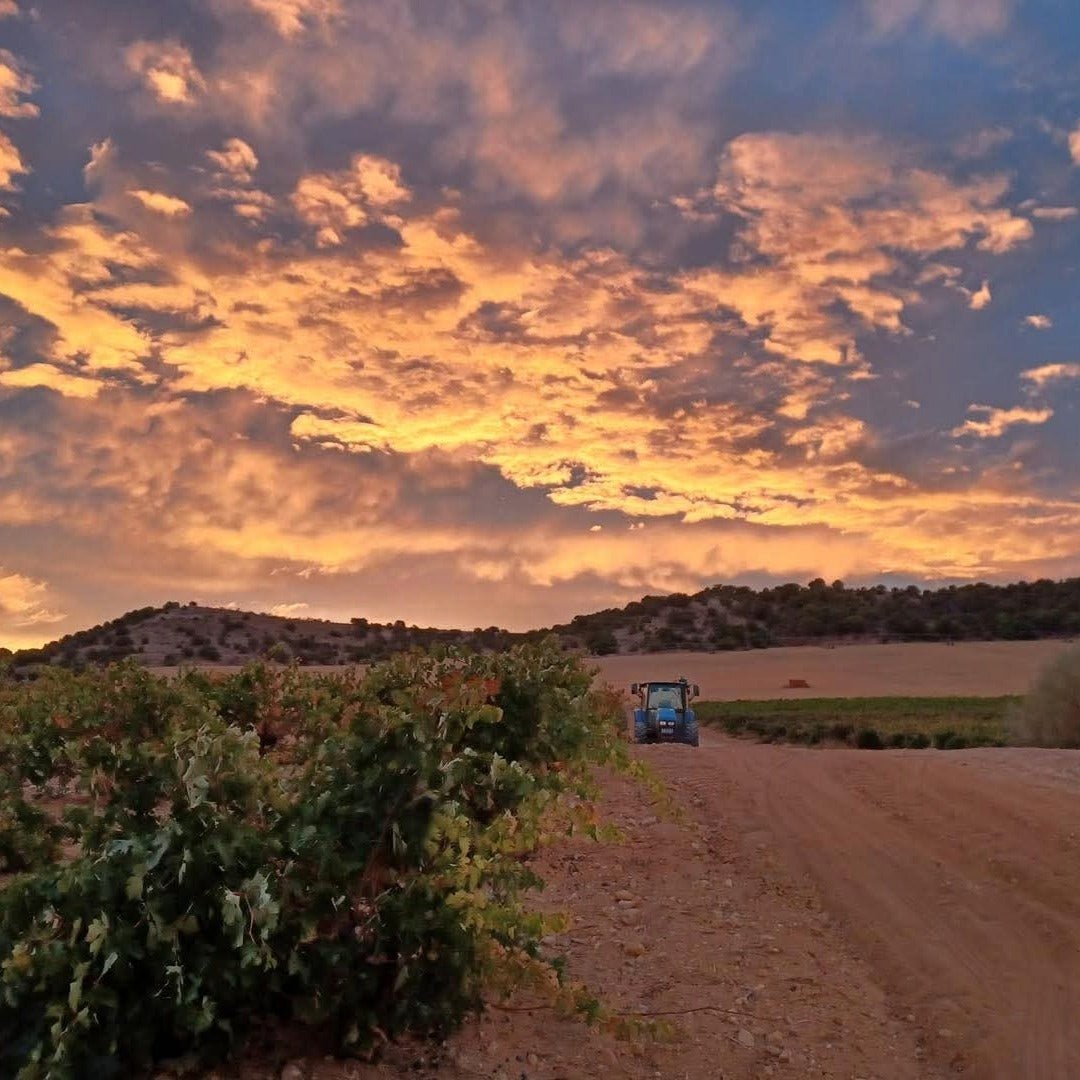 Piedra Prohibida Garnacha - Latitude Wine & Liquor Merchant