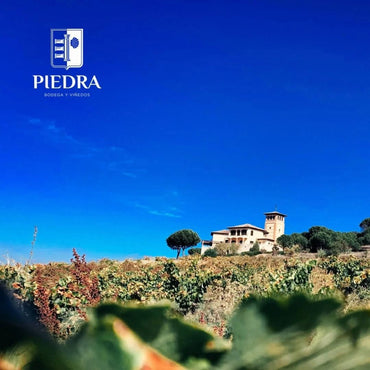Piedra Prohibida Garnacha - Latitude Wine & Liquor Merchant