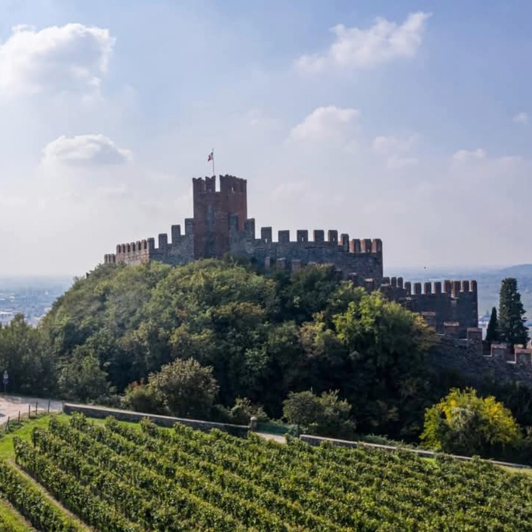 Pieropan - Soave Classico La Rocca - Latitude Wine & Liquor Merchant