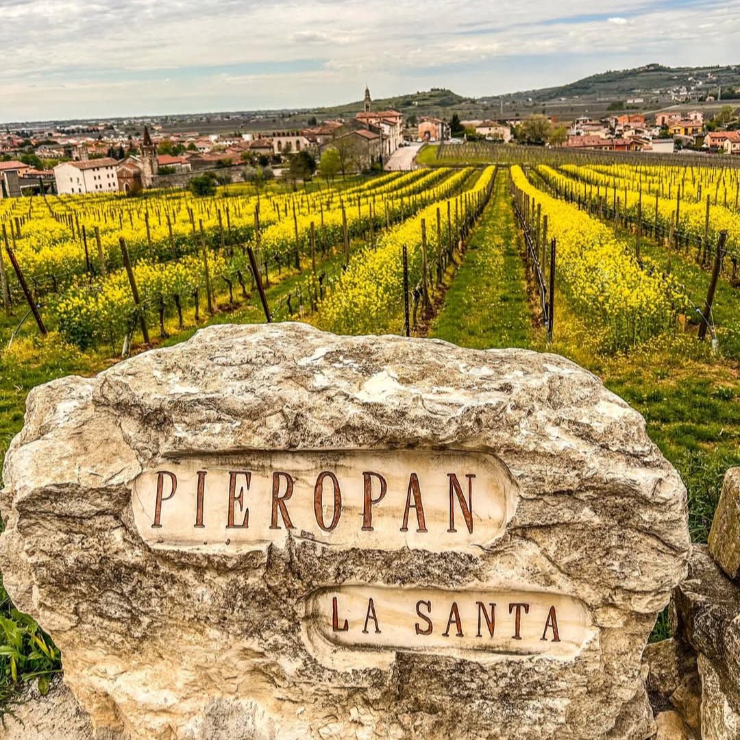 Pieropan - Soave Classico La Rocca - Latitude Wine & Liquor Merchant