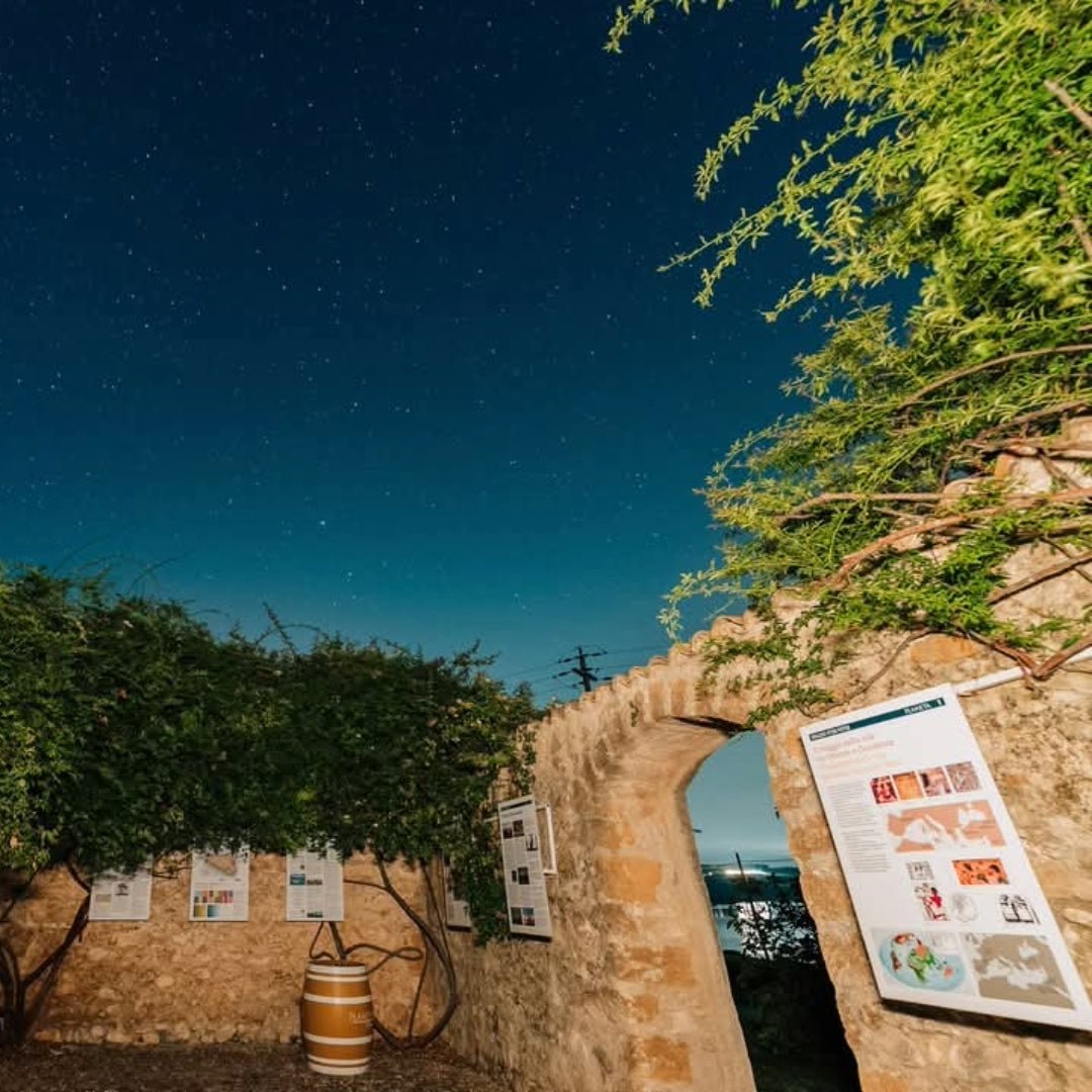 Planeta Chardonnay - Latitude Wine & Liquor Merchant