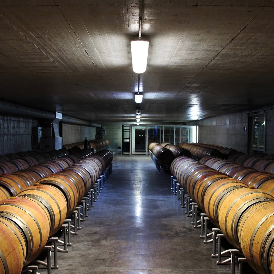 Planeta Chardonnay - Latitude Wine & Liquor Merchant