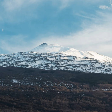Planeta Chardonnay - Latitude Wine & Liquor Merchant