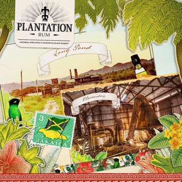 Planteray XO PX - Latitude Wine & Liquor Merchant