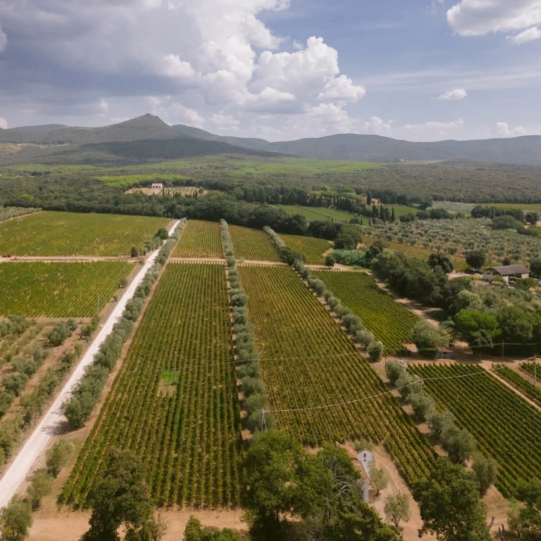 Poggio Al Tesoro Bolgheri Il Seggio - Latitude Wine & Liquor Merchant