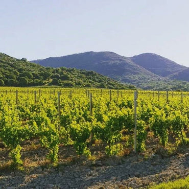 Principe Pallavicini Roma Rosso - Latitude Wine & Liquor Merchant