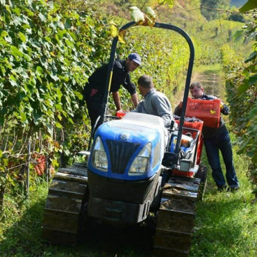 Principiano Langhe Nebbiolo Coste - Latitude Wine & Liquor Merchant