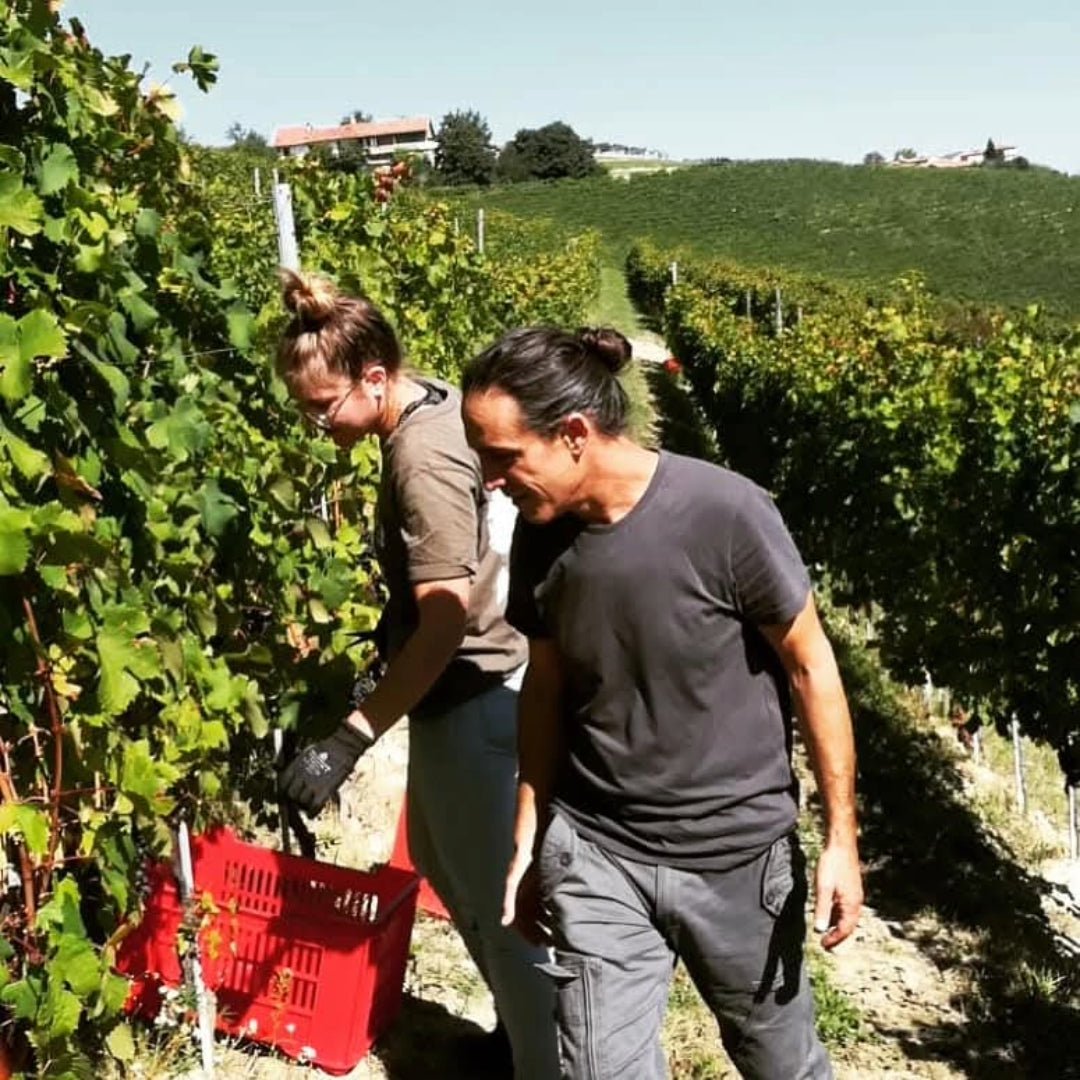 Principiano Langhe Nebbiolo Coste - Latitude Wine & Liquor Merchant