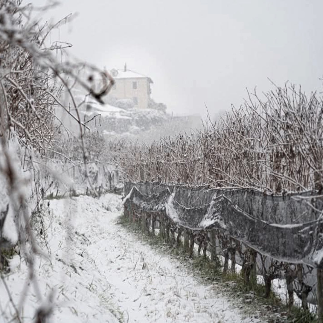Propietra Sperino Uvaggio Coste Della Sesia Rosso - Latitude Wine & Liquor Merchant