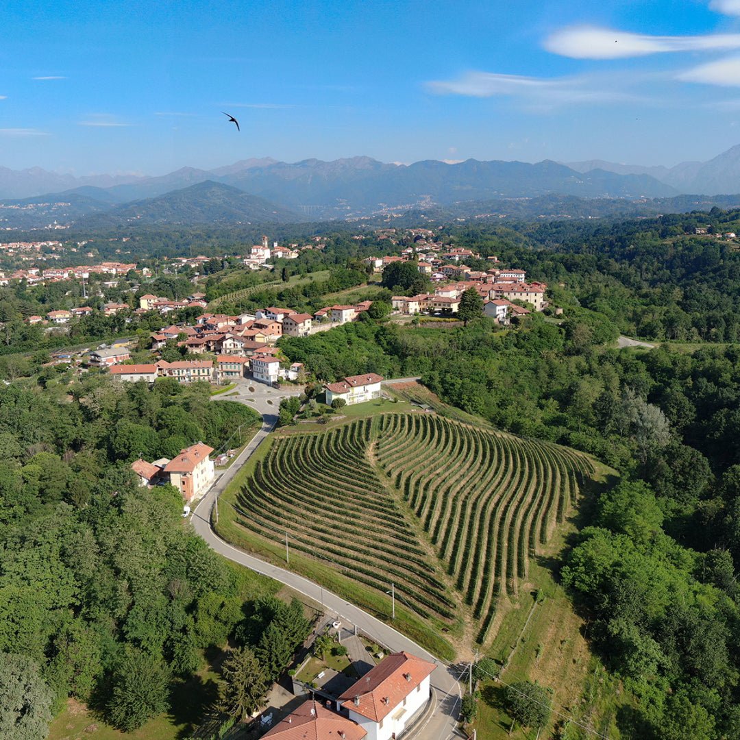 Propietra Sperino Uvaggio Coste Della Sesia Rosso - Latitude Wine & Liquor Merchant