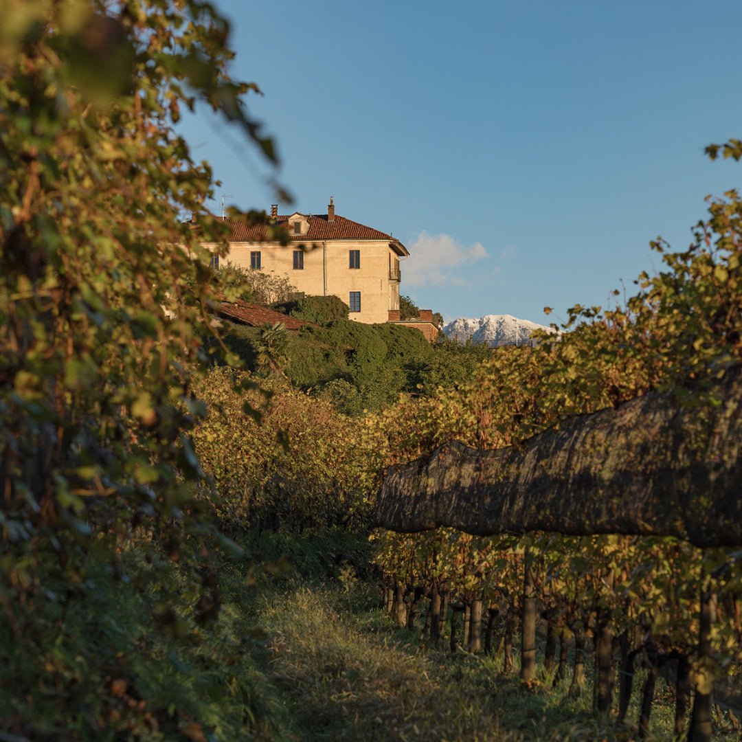 Propietra Sperino Uvaggio Coste Della Sesia Rosso - Latitude Wine & Liquor Merchant