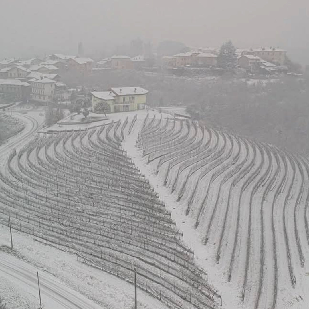 Propietra Sperino Uvaggio Coste Della Sesia Rosso - Latitude Wine & Liquor Merchant