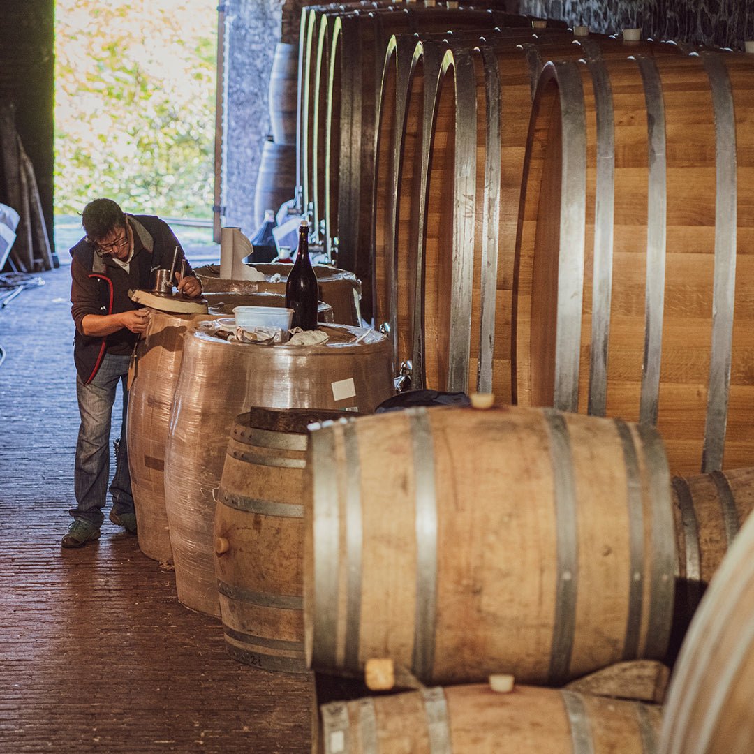 Propietra Sperino Uvaggio Coste Della Sesia Rosso - Latitude Wine & Liquor Merchant