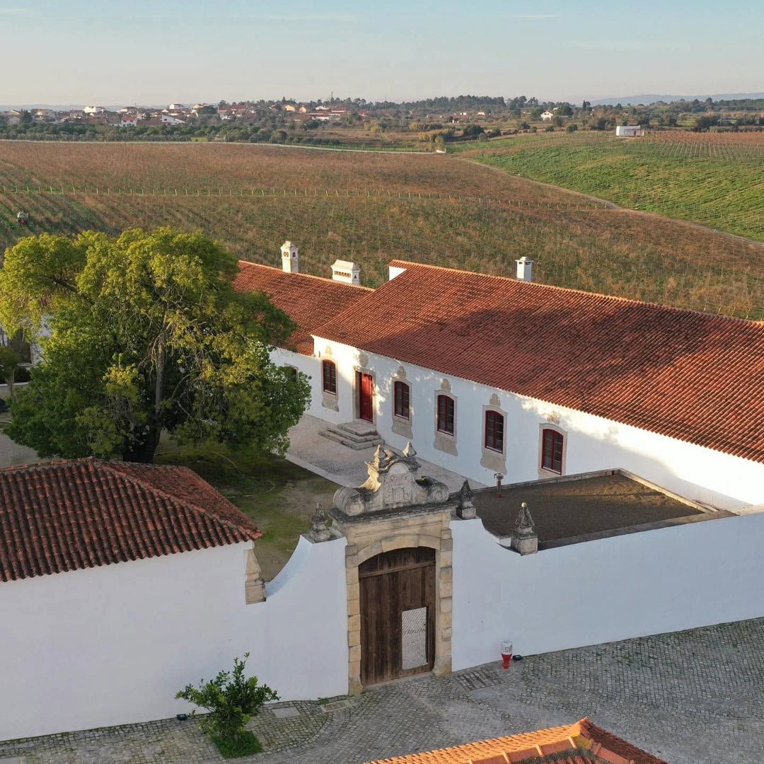Quinta Da Lapa Retro Fernao Pirao - Latitude Wine & Liquor Merchant