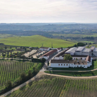 Quinta Da Lapa Retro Fernao Pirao - Latitude Wine & Liquor Merchant